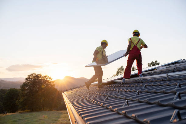 Best Solar Panel Roofing Installation  in El Cenizo, TX