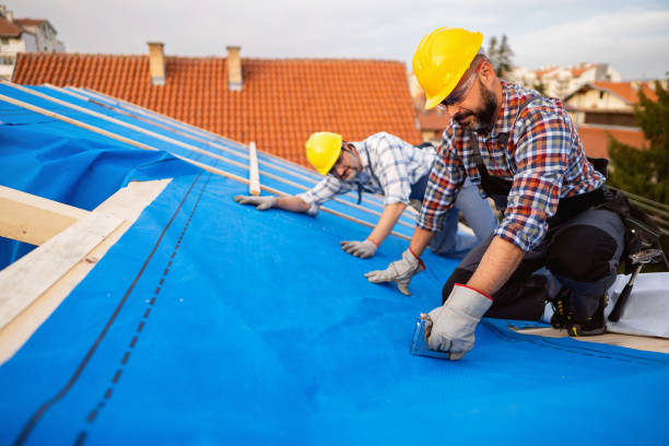 Best Storm Damage Roof Repair  in El Cenizo, TX