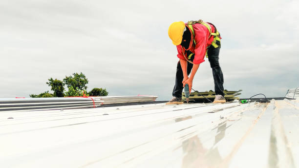 Best Skylight Installation and Repair  in El Cenizo, TX