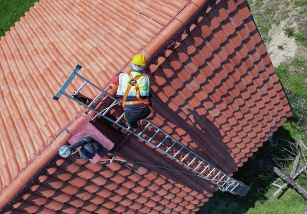 Best Roof Installation  in El Cenizo, TX
