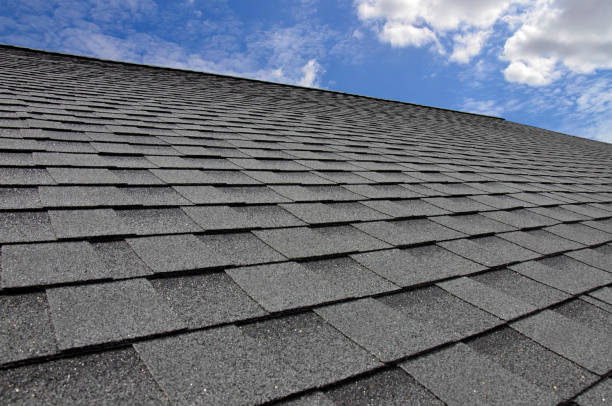 Best Rubber Roofing (EPDM, TPO)  in El Cenizo, TX