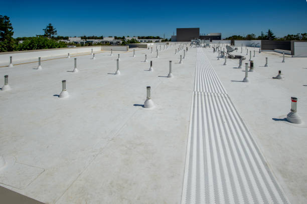 Best Gutter Installation and Repair  in El Cenizo, TX